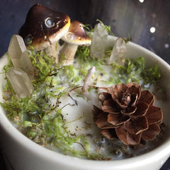 The Magick Mushroom Candle~To Celebrate and Honor the Mystical Mushroom
