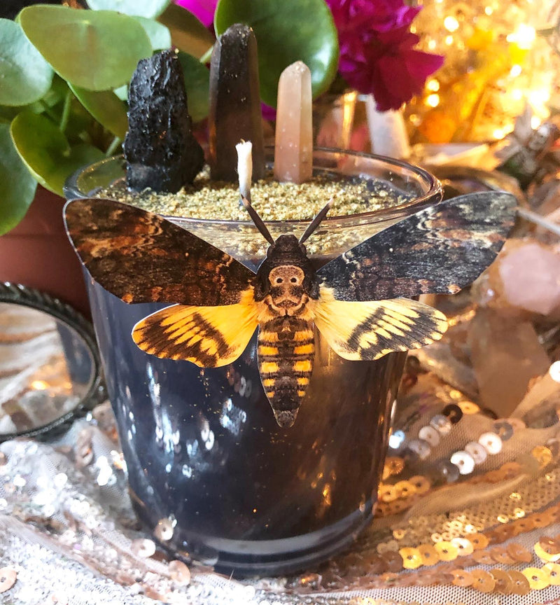 The Deaths Head Moth Candle~ To Honor the Shadow, For Protection and Cord Cutting - The Velvet Lotus