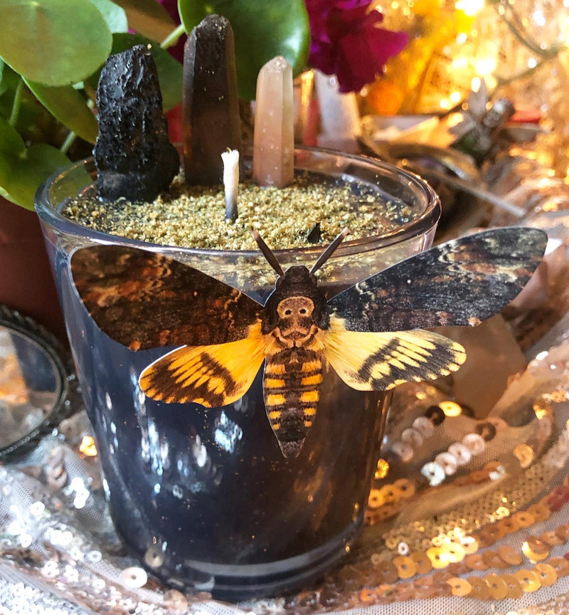 The Deaths Head Moth Candle~ To Honor the Shadow, For Protection and Cord Cutting - The Velvet Lotus