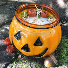 Jack the Pumpkin King!~For the Ultimate Halloween Lover, Pumpkin Pie, Pumpkin Love, Pumpkin Magick, Pumpkin Everything