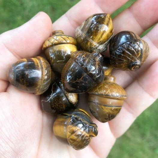 Golden Tigers Eye Acorn~ For Faerie Magick, Oak Magick, Norse Pagan, To Protect Against Illness and Bad Luck, Attracts Prosperity and Spiritual Strength