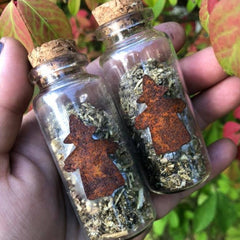 Witches Broom Dust/Banishing Bottle~To Banish Negative Energies and Harmful Spirits, Spiritual Protection, House Protection, Curse Reversal, Potent Plant Allies, Broom Dust, Flying Dust