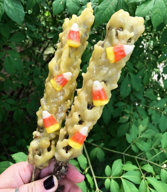 Candy Corn Witches Stick, Halloween Magick, Vintage Halloween, Old Fashioned Candle. Halloween Lover