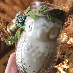 Minervas Athene Noctua~Minervas Athene Noctua~Owl Totem, Owl Insight, Ancestral Connection, Divination