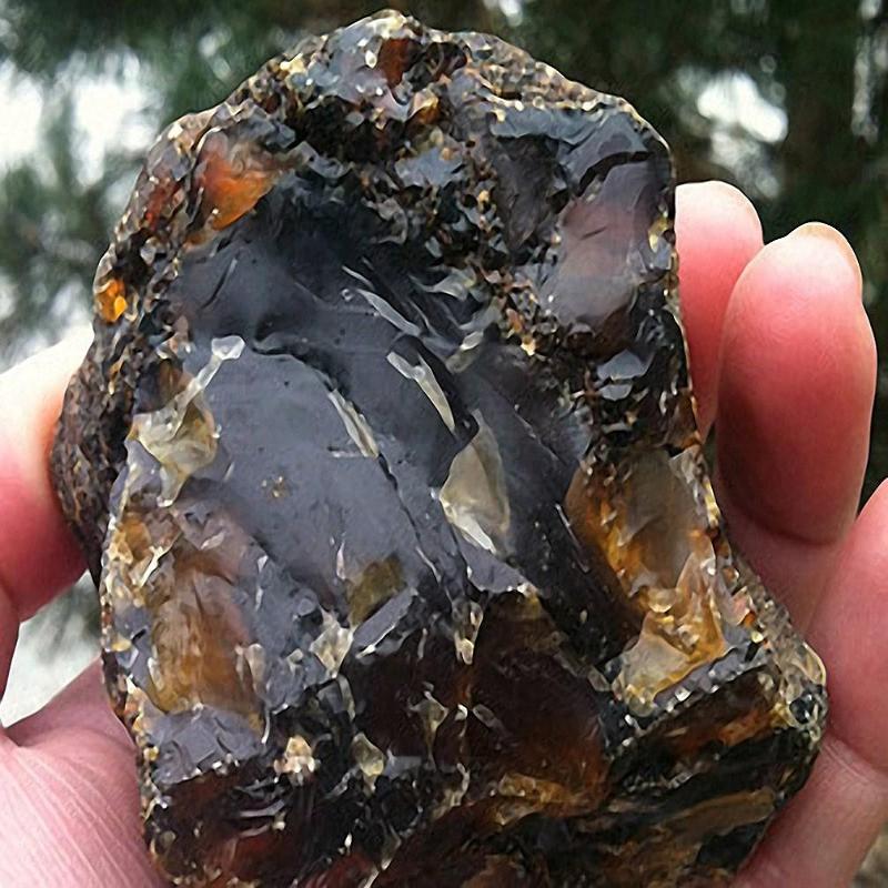 Fossilzed Black Amber To Bring the Energy of the Sun to You, To Conne